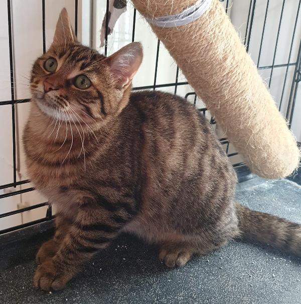 Michelle, trovata affamata e infreddolita Foto 3